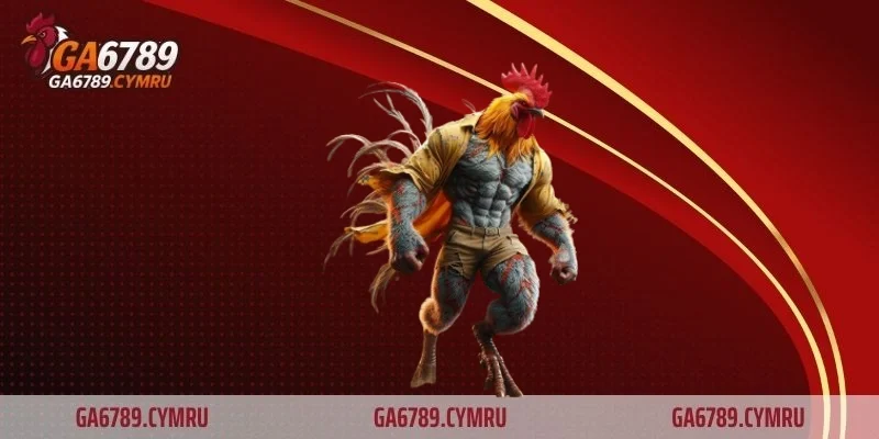 Đá gà cựa dao – Môn giải trí đỉnh cao đầy kịch tính, bất ngờ